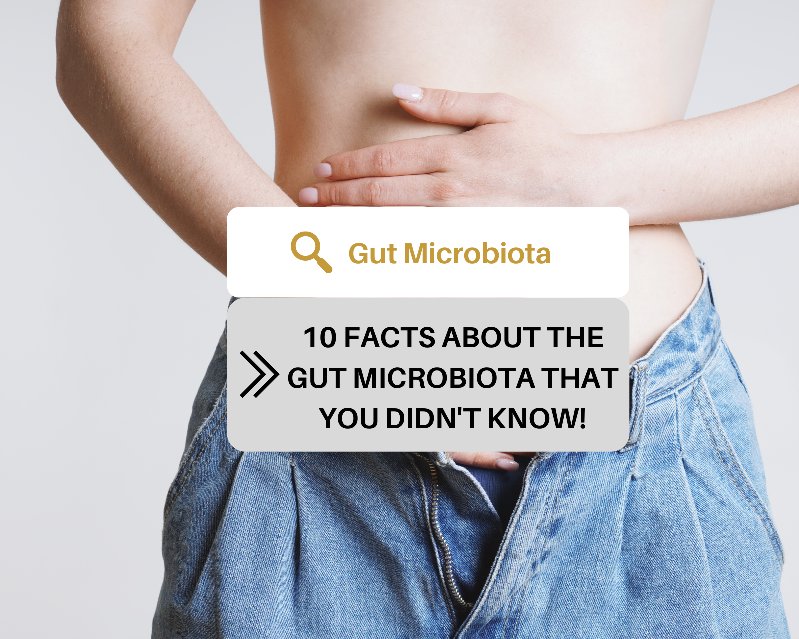 10 facts about the gut microbiota you didn't know!