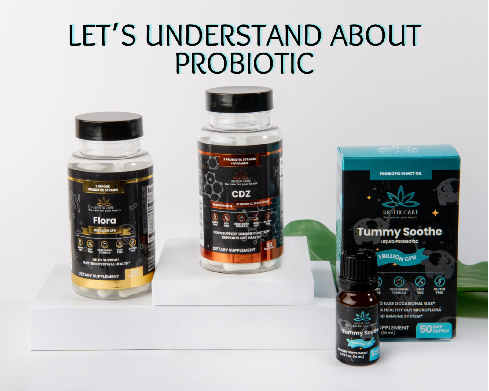 Let’s Understand About Probiotic