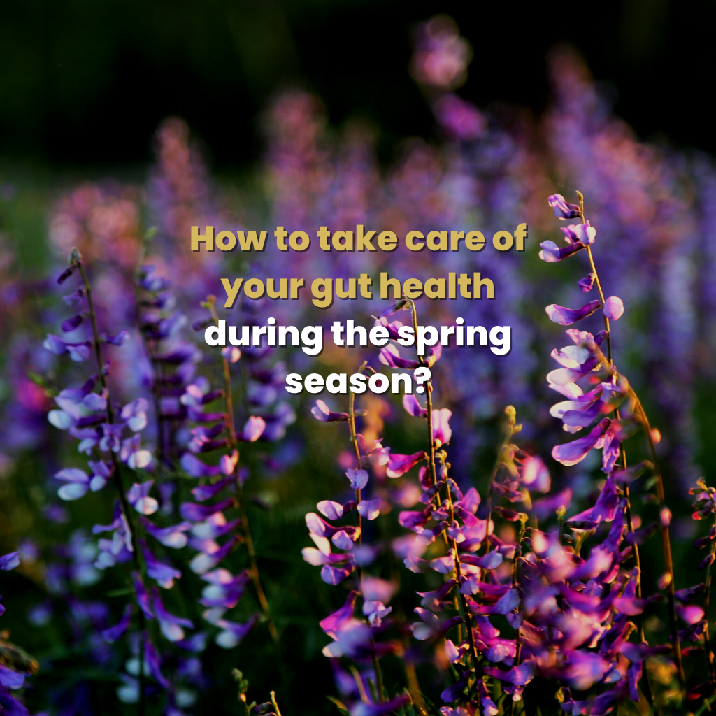 How to take care of your gut health during the spring season?