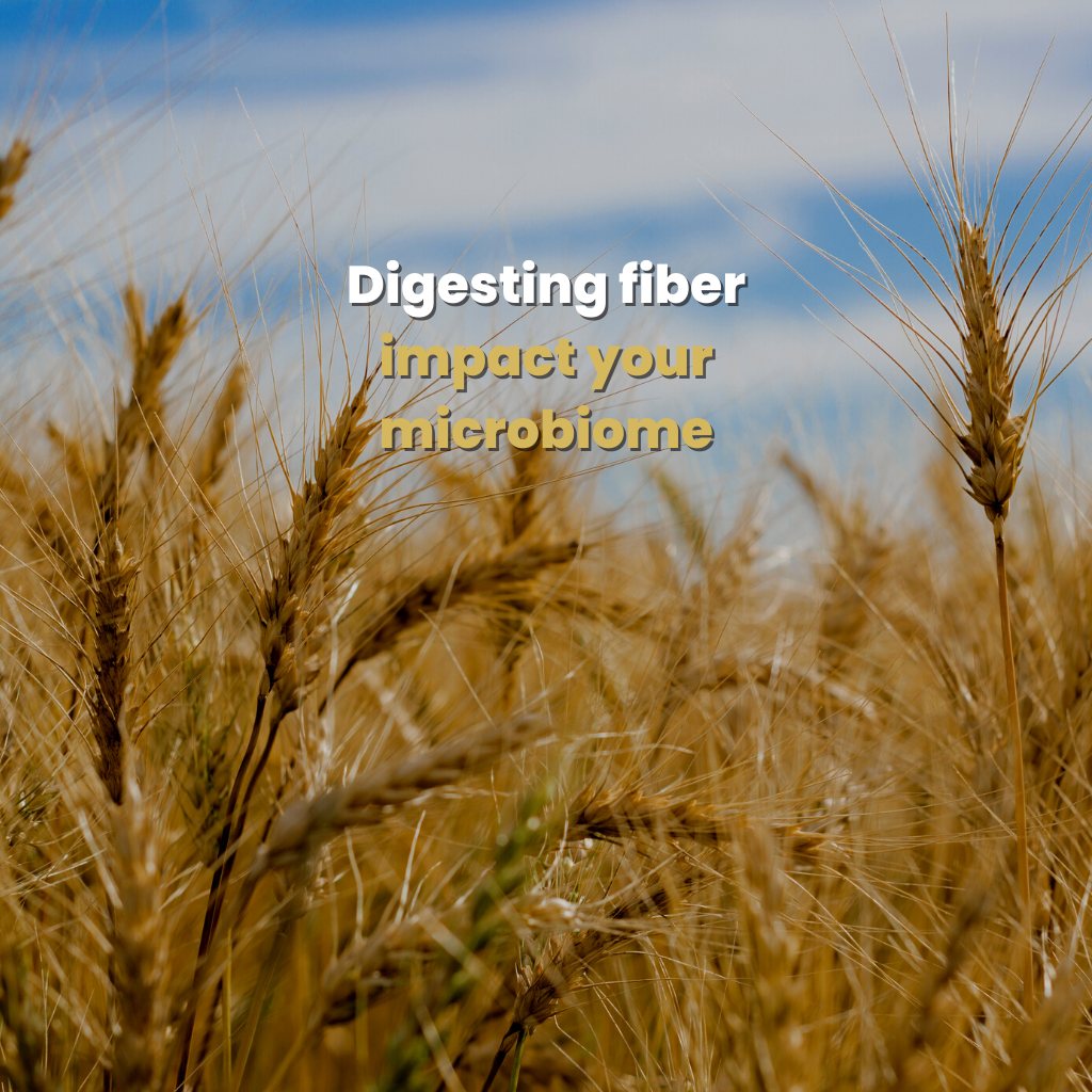 Digesting fiber impact your microbiome