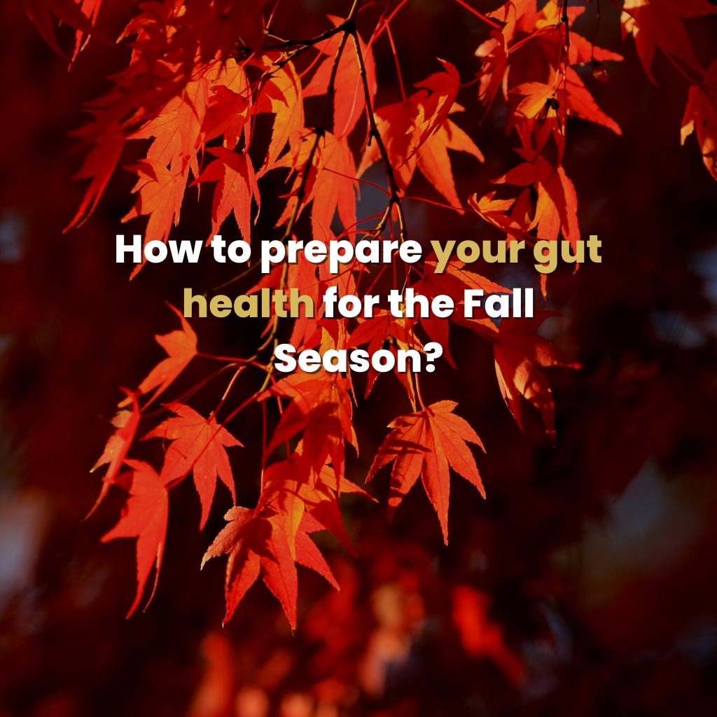 How to prepare your gut health for the fall season?