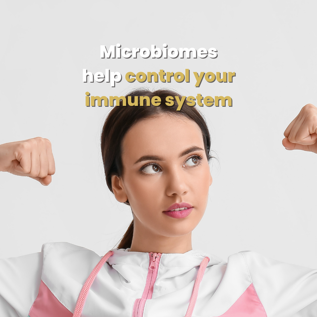 Microbiomes help control your immune system